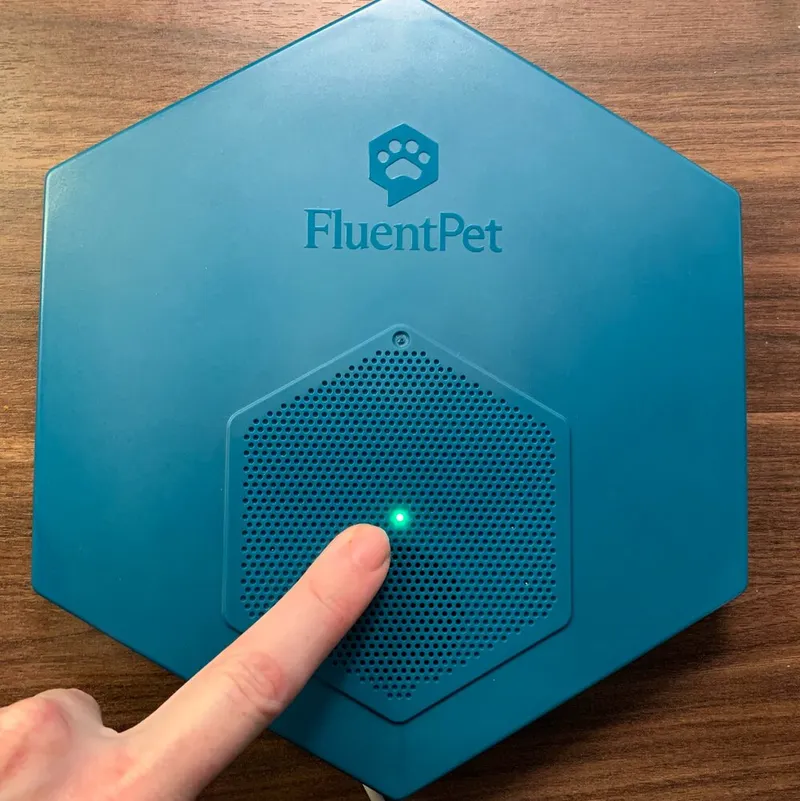 The top of a Connect Base with a green light in the center of the speaker grill.